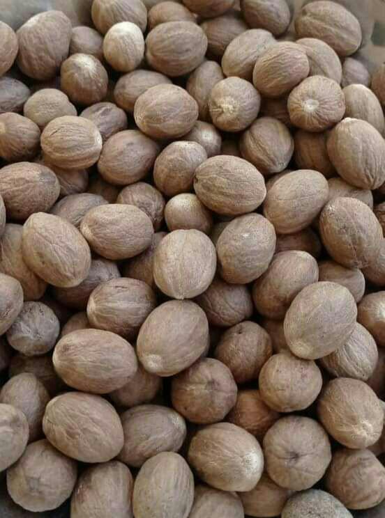 NUTMEG ABCD / SS | Dried nutmeg kernels offered in whole graded sizes (ABCD) and naturally split pieces (S/S), both prized for their strong essential oil content and classic warm, sweet-spicy flavor. Uses: Ground or whole for baking, beverage flavoring, savory seasoning blends, and essential oil extraction.