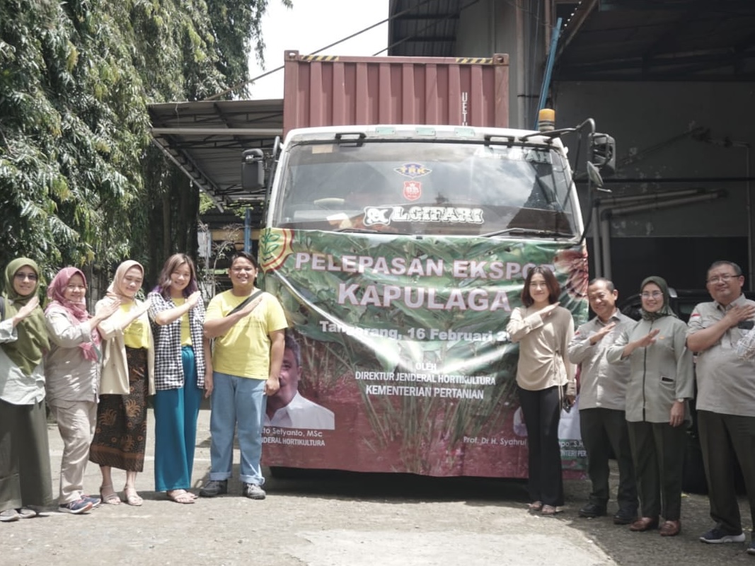 Kementan cardamom export