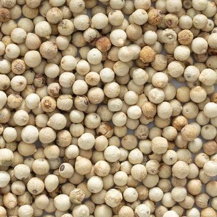 WHITE PEPPER | Sun-dried and hulled from mature pepper berries, our white pepper delivers a clean, sharp heat without the dark specks of black pepper — ideal for light-colored sauces, seasonings, and processed food applications where visual clarity matters.